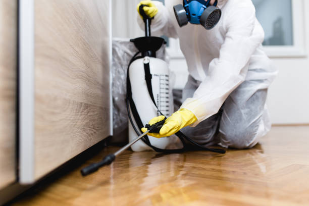 Best Local Pest Control Services  in Sulphur Springs, AR