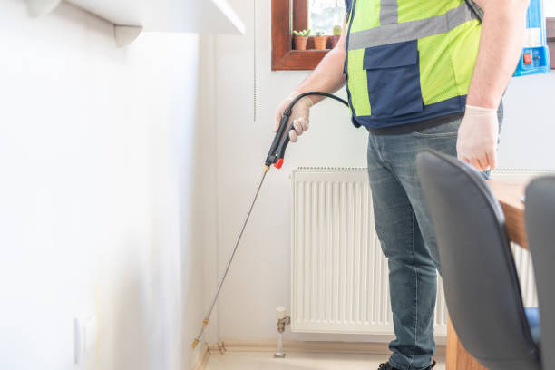 Wasp Removal Services in Sulphur Springs, AR