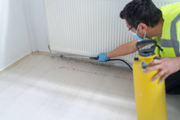 Best Pest Removal Services  in Sulphur Springs, AR